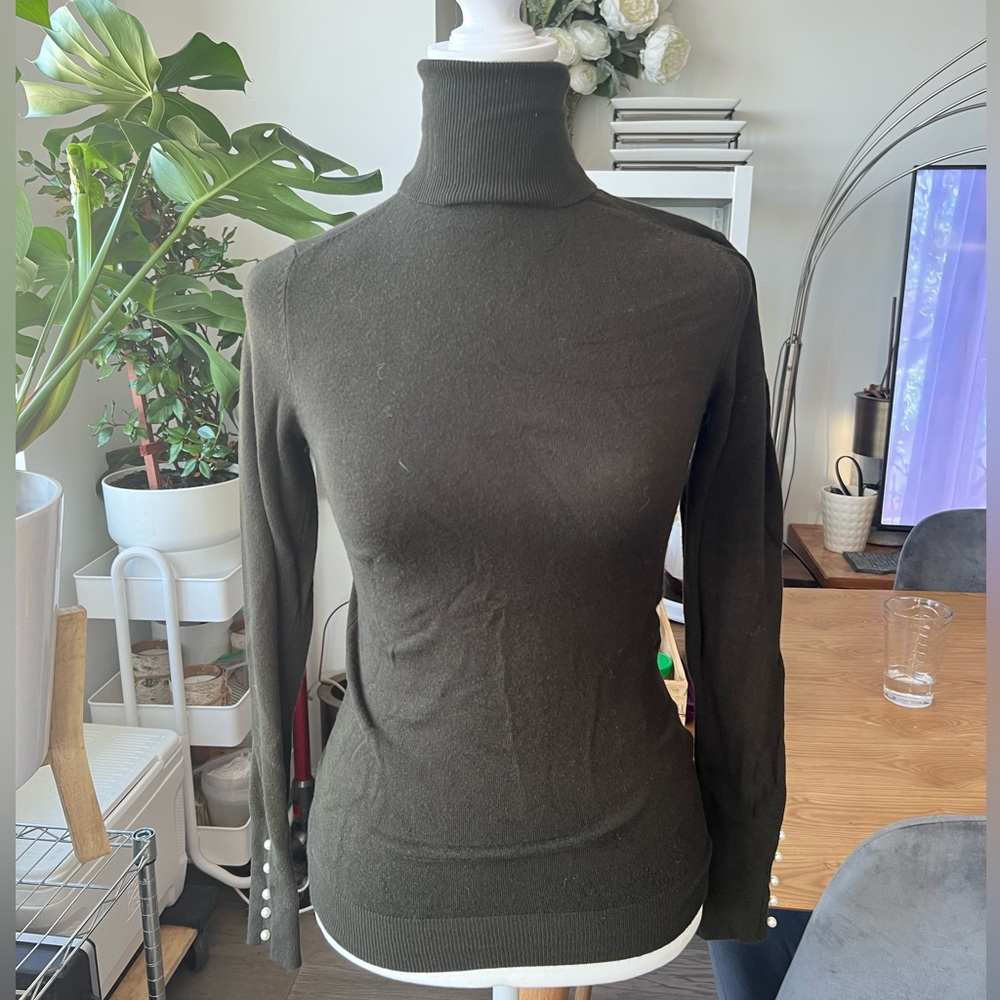 Zara Turtleneck Sweater